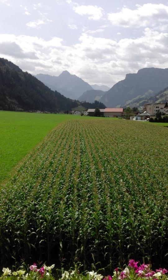 Gaestehaus Wildauer Zell am Ziller Eksteriør bilde